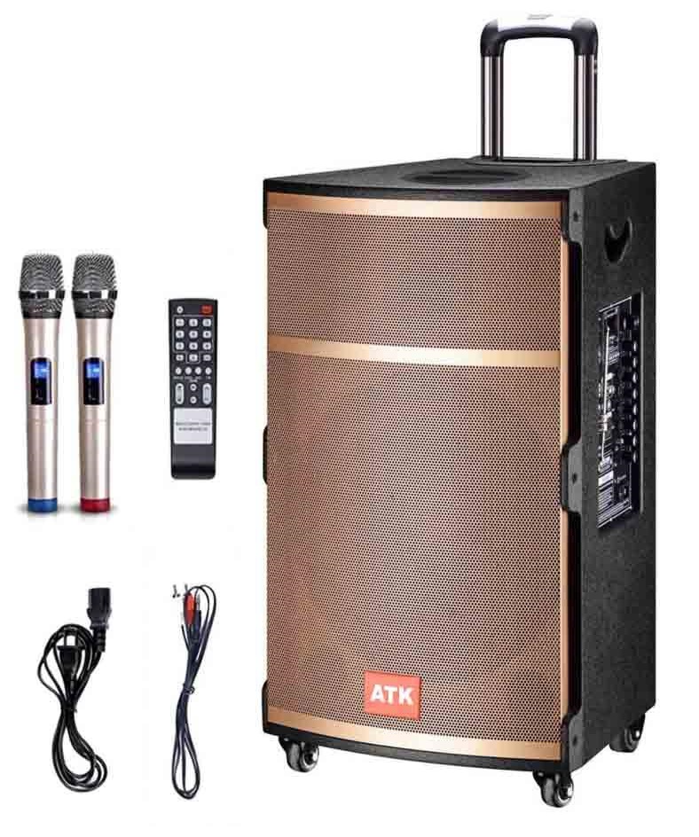 loa kéo chuyên nghiệp chất lượng cao