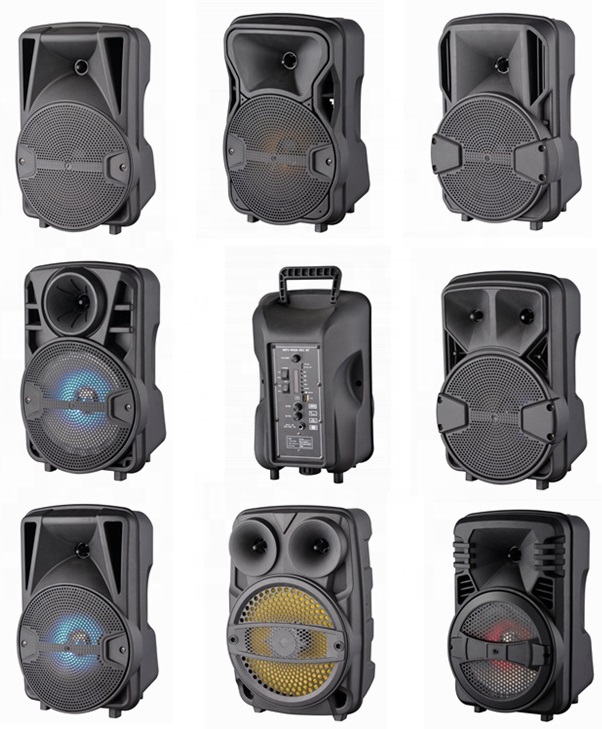 loa kéo mini bass 8inch