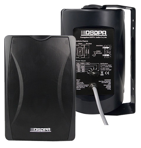 Loa treo tường DSP 8063B-30W