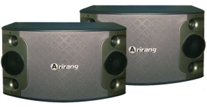 Loa hát karaoke gia đinhf