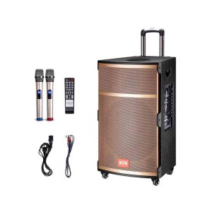 Loa kéo chuyên nghiệp TK – 8612