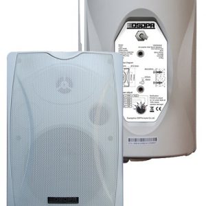 Loa treo tường DSP 8063W-30W, chất lượng cao, giá tốt