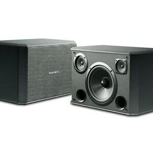 Loa PARAMAX: P-305