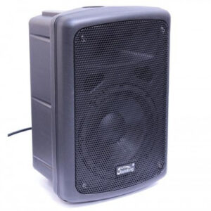 Loa Soundking FP 208-1