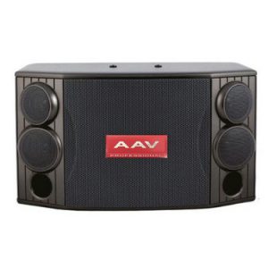 Loa karaoke chất lượng cao AAV FSD-825