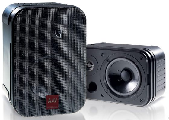 Loa hộp hội thảo AAV