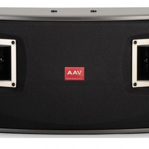 Loa karaoke chất lượng cao KS 623