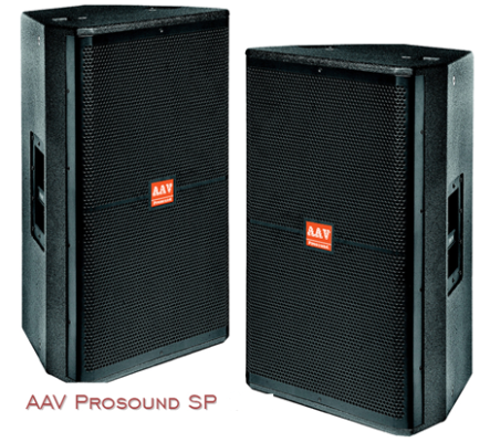 những lỗi thường gặp của loa hội trường