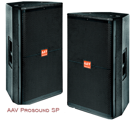 Những lỗi thường gặp ở loa hội trường phổ biến