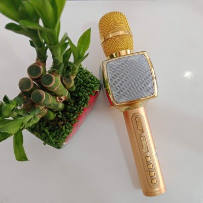 micro-karaoke-bluetooth