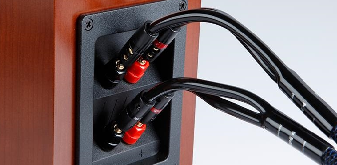 Loại dây loa bi-wire