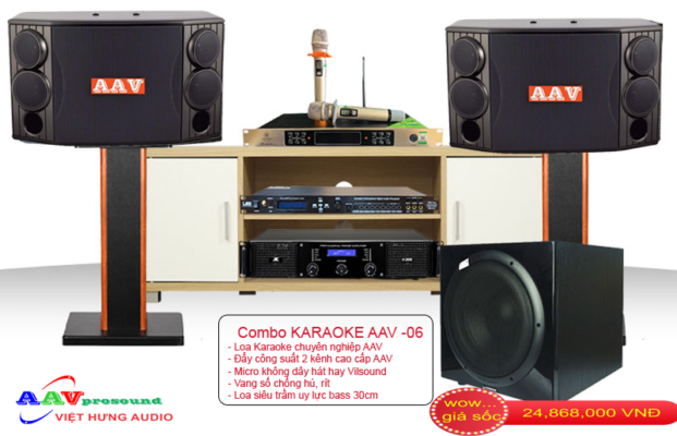 Combo Karaoke AAV-06 giá: 24.868.000 Vnđ