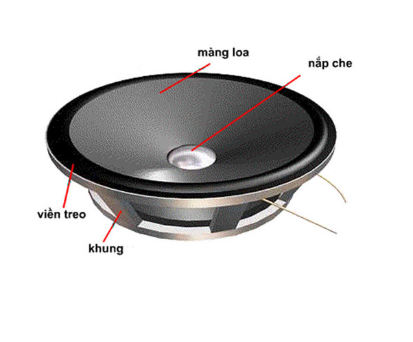 Bộ phận của loa sub