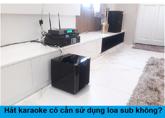Hát karaoke có cần sử dụng loa sub không?