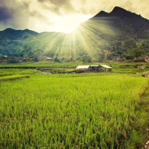 Lắp đặt hệ thống truyền thanh không dây cho làng xã 500