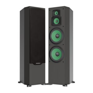 Loa Nghe Nhạc và Karaoke 12-inch paramax D88