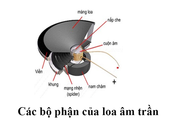 Các bộ phận của loa âm trần