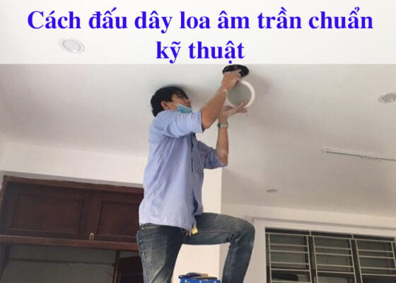 Cách đấu dây loa âm trần chuẩn kỹ thuật