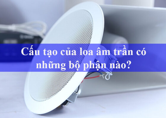 Cấu tạo của loa âm trần có những bộ phận nào?