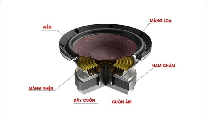 Cấu tạo của củ loa âm thanh 