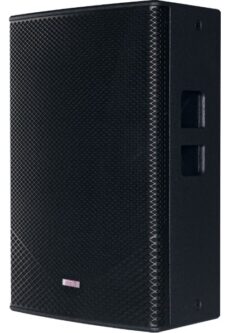 Loa Inter-M PE15L – Loa Full-Range 2-Way Passive 600W Bass 15 Inch Vỏ Thùng Ngũ Giác Vát Góc Left Cho Âm Thanh Hội Trường Chuyên Nghiệp