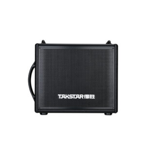 Loa Nhạc Cụ Takstar OD200